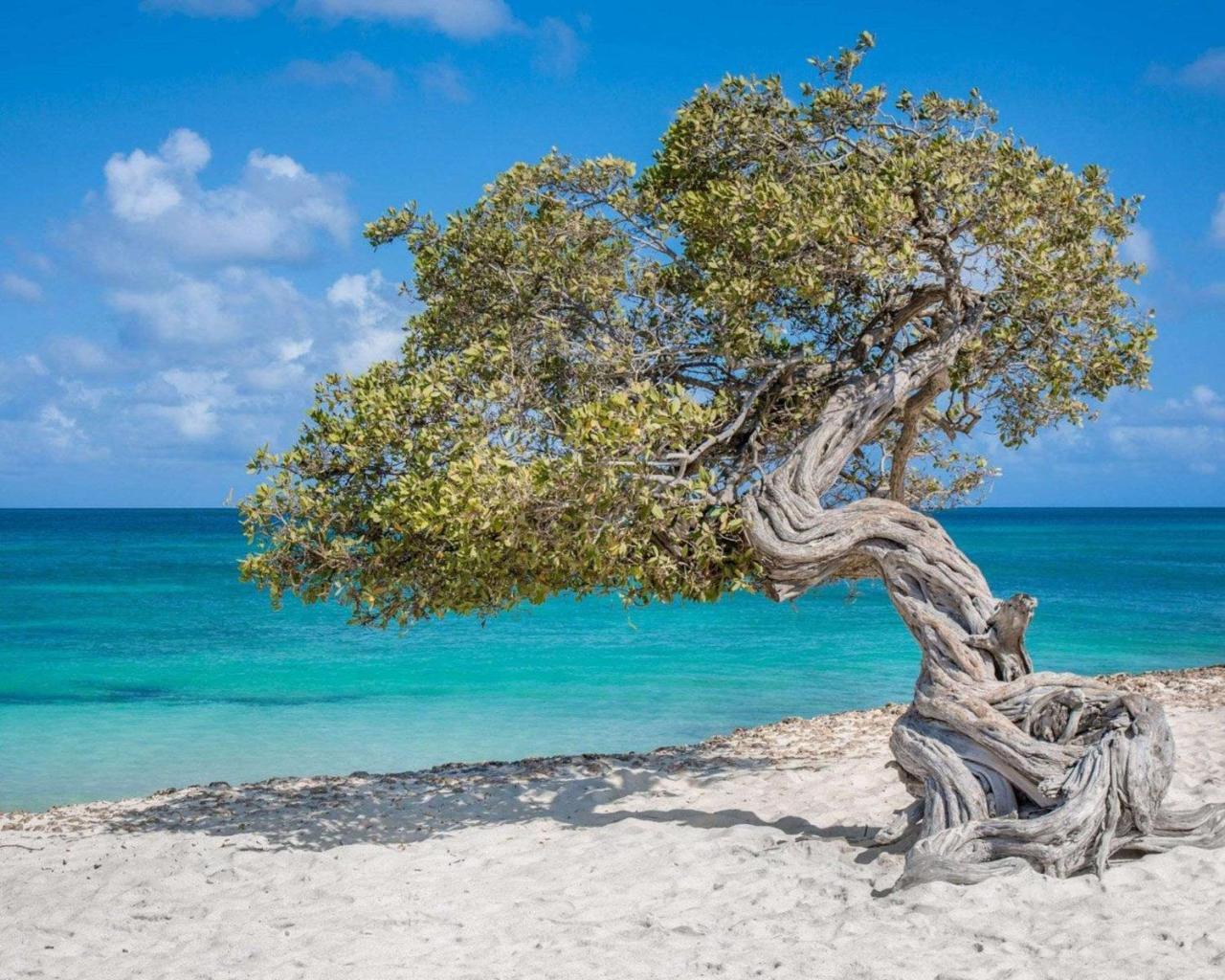 Bluegreen Vacations La Cabana Resort, An Ascend Collection パームビーチ エクステリア 写真